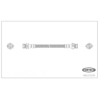 CORTECO 19037276 - Flexible de frein arrière gauche