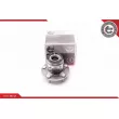 ESEN SKV 29SKV049 - Roulement de roue arrière