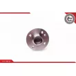 ESEN SKV 29SKV060 - Roulement de roue arrière