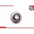 ESEN SKV 29SKV093 - Roulement de roue arrière