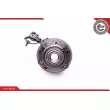 ESEN SKV 29SKV132 - Roulement de roue avant