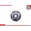 ESEN SKV 29SKV205 - Roulement de roue arrière