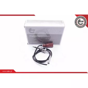 Capteur, température des gaz ESEN SKV OEM 03L906088B