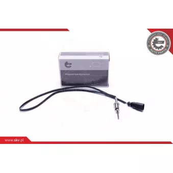 Capteur, température des gaz ESEN SKV OEM 04L906088EJ