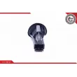 ESEN SKV 38SKV803 - Interrupteur, contacteur de porte