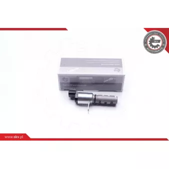 ESEN SKV 39SKV041 - Valve de commande, réglage d'arbres à came