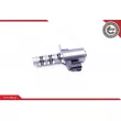 ESEN SKV 39SKV051 - Valve de commande, réglage d'arbres à came