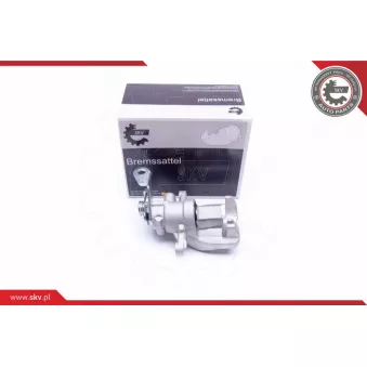 Étrier de frein arrière gauche ESEN SKV OEM 77364989