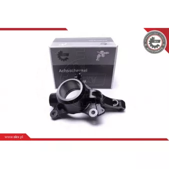 Fusée d'essieu, suspension de roue avant droit ESEN SKV 47SKV502 pour AUDI A4 2.3 dCi 135 [RWD] - 136cv
