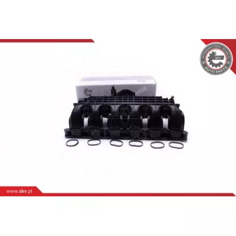 Module de tube d'admission ESEN SKV 49SKV064 pour BMW Série 3 335 xi - 326cv