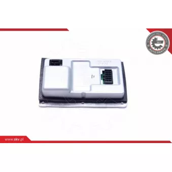 Appareil de commande, système d'éclairage ESEN SKV 59SKV023 pour RENAULT MEGANE 2.0 DCI - 150cv