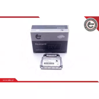 Appareil de commande, système d'éclairage ESEN SKV 59SKV030 pour RENAULT MEGANE 2.0 DCI - 150cv