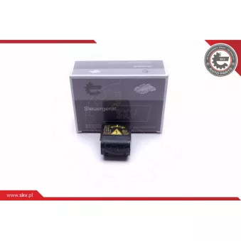 Ballast, lampe à décharge ESEN SKV 59SKV069 pour MERCEDES-BENZ CLASSE R R 350 4-matic - 272cv