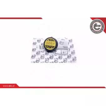 Bouchon, réservoir de liquide de refroidissement ESEN SKV 61SKV008 pour LEXUS IS 220d - 177cv
