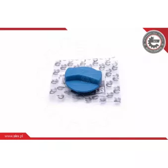 Bouchon, réservoir de liquide de refroidissement ESEN SKV 61SKV011 pour VOLKSWAGEN PASSAT 2.8 V6 Syncro/4motion - 193cv