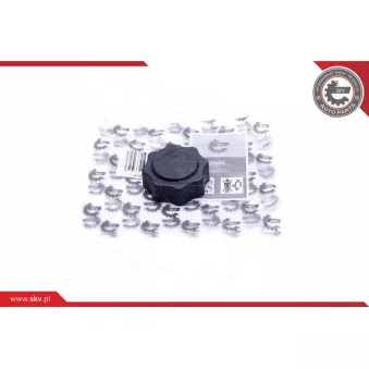 Bouchon, réservoir de liquide de refroidissement ESEN SKV 61SKV016 pour ROVER 400 416 Si - 113cv
