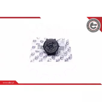 Bouchon, réservoir de liquide de refroidissement ESEN SKV 61SKV019 pour JAGUAR XJ V8 3.2 - 237cv