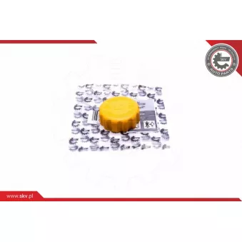 Bouchon, réservoir de liquide de refroidissement ESEN SKV 61SKV021 pour DAEWOO MATIZ 0.8 - 52cv