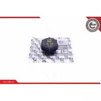 Bouchon, réservoir de liquide de refroidissement ESEN SKV 61SKV024 pour MINI MINI 1.6 - 85cv
