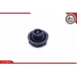 ESEN SKV 61SKV024 - Bouchon, réservoir de liquide de refroidissement