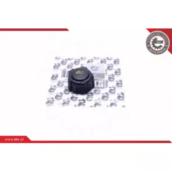 Bouchon, réservoir de liquide de refroidissement ESEN SKV 61SKV027 pour RENAULT LOGAN 1.5 DCI - 68cv