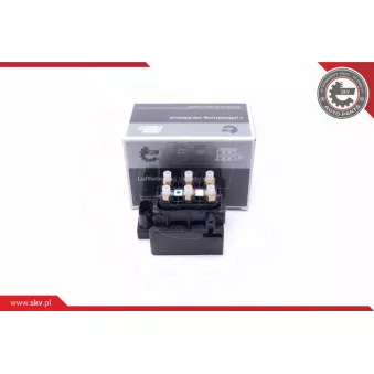 Valve, système d'air comprimé ESEN SKV 93SKV803 pour AUDI A6 2.0 TFSI - 252cv