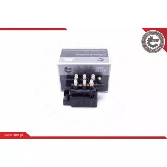 Valve, système d'air comprimé ESEN SKV 93SKV811 pour BMW Série 7 740 d. Ld xDrive - 320cv