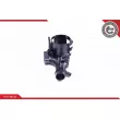ESEN SKV 96SKV060 - Support, filtre à carburant