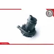 ESEN SKV 96SKV201 - Pompe d'injection d'air secondaire