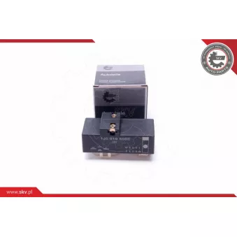 Relais,chasse du ventilateur de radiateur ESEN SKV 96SKV206 pour VOLKSWAGEN BORA 2.3 V5 - 150cv