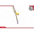 ESEN SKV 96SKV504 - Ressort tournant, Airbag