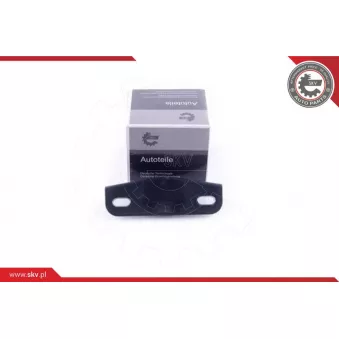 Guidage, bouton de verrouillage ESEN SKV OEM 1371034080