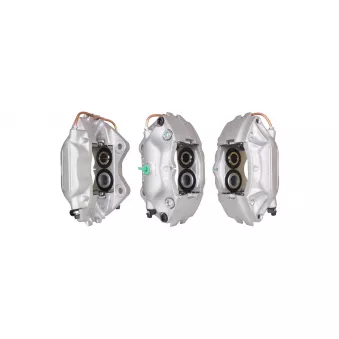 DRI 3139010 - Étrier de frein avant gauche