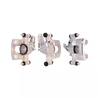 Étrier de frein arrière droit DRI OEM 440010724R
