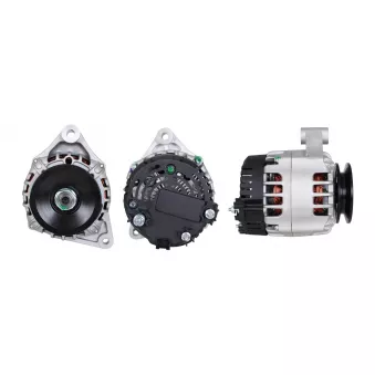 Alternateur DRI [500306702]