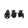 Pompe hydraulique, direction DRI [715520061]