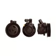 Pompe hydraulique, direction DRI [715520130]