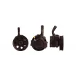 DRI 715520133 - Pompe hydraulique, direction