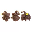 DRI 715520531 - Pompe hydraulique, direction