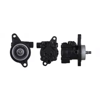 Pompe hydraulique, direction DRI OEM 491108H800