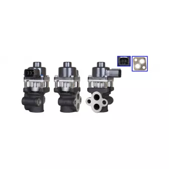 Vanne EGR DRI OEM K5T79077