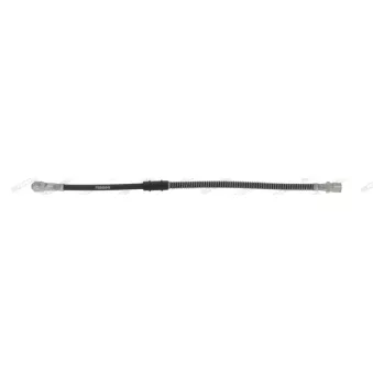 Flexible de frein FERODO OEM 21213506060
