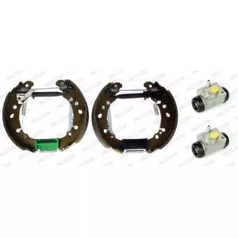 Kit de freins arrière (prémontés) FERODO OEM 049070D010