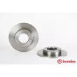 BREMBO 08.4504.10 - Jeu de 2 disques de frein avant