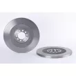 Jeu de 2 disques de frein arrière BREMBO [08.6750.20]