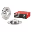 Jeu de 2 disques de frein avant BREMBO [08.6751.10]