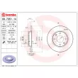 BREMBO 08.7351.14 - Jeu de 2 disques de frein avant