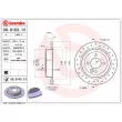 BREMBO 08.9163.1X - Jeu de 2 disques de frein arrière