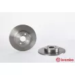 Jeu de 2 disques de frein arrière BREMBO [08.A140.10]