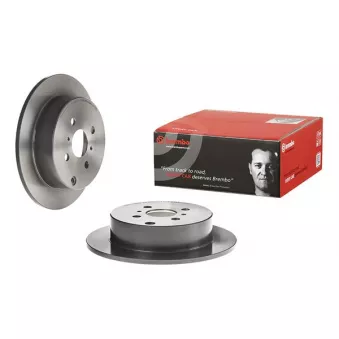 Jeu de 2 disques de frein arrière BREMBO OEM 4243102050